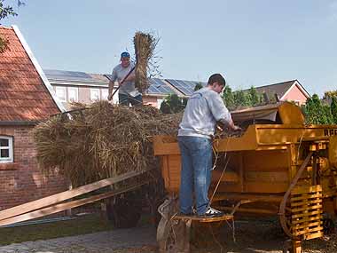 Die Schlepperfreunde im Einsatz an der Bergmann Dreschmaschine